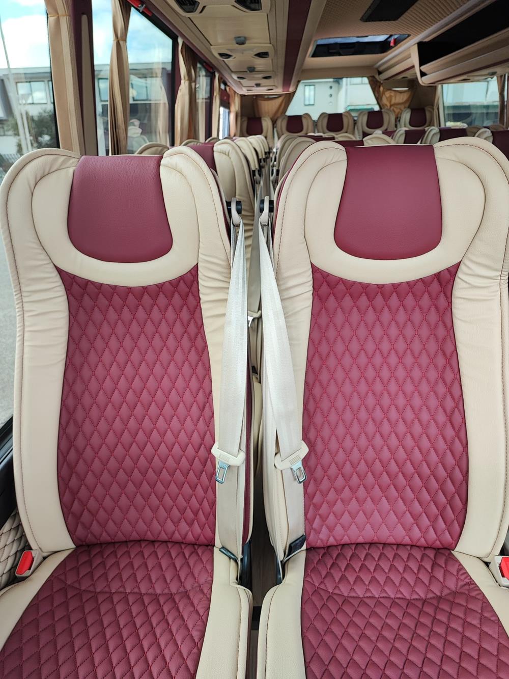 Nuovo Pegaso PEGASO Telaio IVECO Daily  8,50mt. Gran Turismo Luxury 8500mm. Diesel