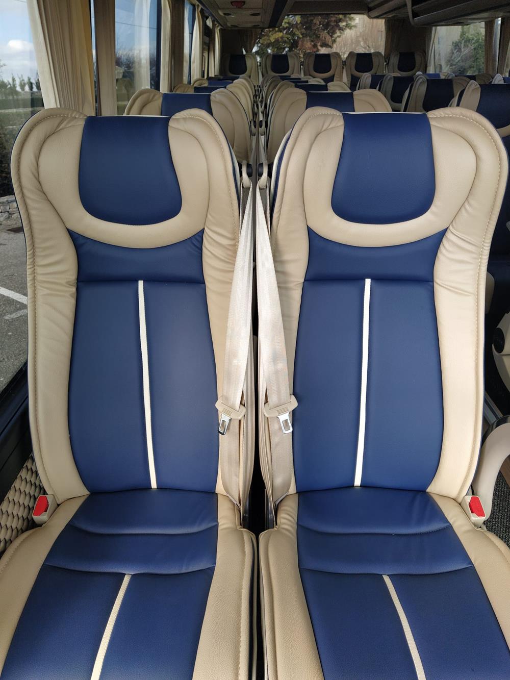 Nuovo Pegaso PEGASO Telaio IVECO Daily 8,50mt. Gran Turismo Luxury 8500mm. Diesel